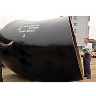 ����׏����^